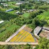 Bán đất bàn cờ Suối Nghệ, sonadezi Châu Đức