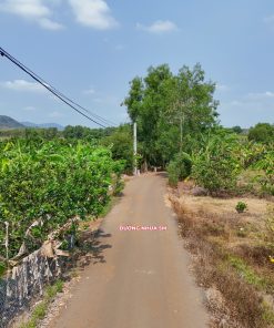 Bán đất xã Suối Nghệ Nghĩa Thành, Sonadezi Châu Đức