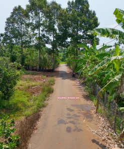 Bán đất xã Suối Nghệ Nghĩa Thành, Sonadezi Châu Đức